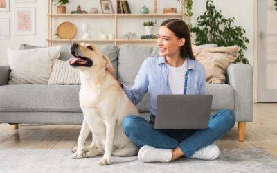 Tail Wags and Lucky Tags: The Best Pet Sweepstakes for Animal Lovers Everywhere